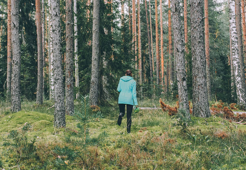 new forest website design